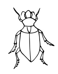 Bug outline vector. Coloring page for kids. Exotic bug collection.hand drawn doodle style, Isolated on white background.