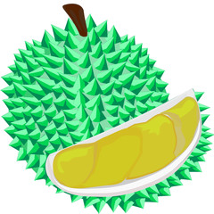 Durian, Thai fruits, vector illustration , Half cutting