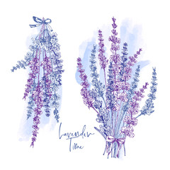 Cute card with of hand drawn sketch of Lavender flower and small bow isolated on white background. France retro pattern for romantic design concept. Text Lavender time Vintage illustration. © zzayko