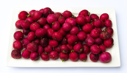 red radishes in a porcelain dish and on white background