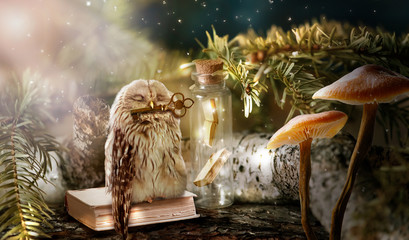 Fantasy wise sleeping owl is the keeper of secrets holds key to knowledge in beak in magical mysterious forest with magic mushrooms and books locked in glass bottle