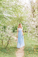 Fototapeta na wymiar beautiful woman in a blue long dress walks in a spring blooming garden