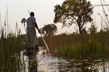 In Mokorobooten auf den Flußstraßen im Okavango Delta unterwegs