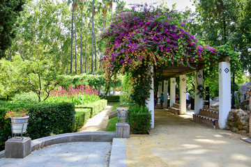 Seville, Spain - Park Maria Luis, the main city park, a hole of white square columns, on the roof of which there is a dense bush with purple flowers, next to green trees and bushes.