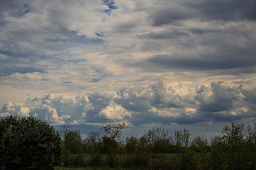 Beautiful landscape