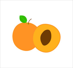 apricot fruit. illustration for web and mobile design.