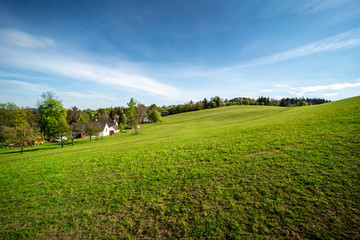 Green pastures around the farm near the forest