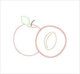 apricot fruit. illustration for web and mobile design.