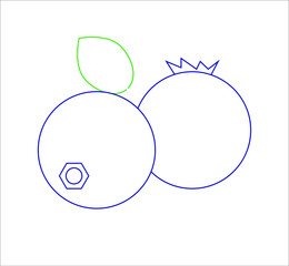 black cranberries fruit. illustration for web and mobile design.