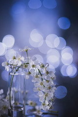 bird cherry in a transparent glass cup on a background of brilliant bokeh, spring flowers, blooming bird cherry, closeup of flowers. macrophoto of white flowers on a bright blurred background