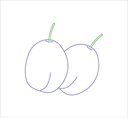 plums fruit. illustration for web and mobile design.
