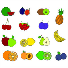 collection of fruit illustrations. illustration for web and mobile design.