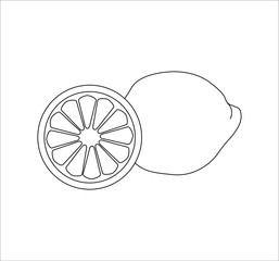 lemon fruit. illustration for web and mobile design.