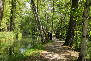 Hiking in biosphere reserve Spree forest (Spreewald), Luebbenau - Germany