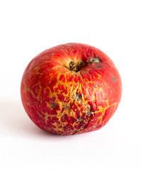 Bad apple