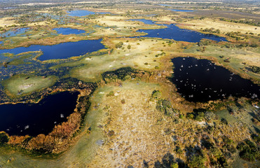  Okavangodelta Botswana Afrika