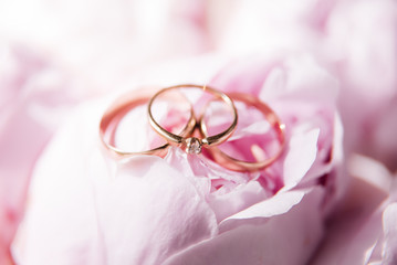 Wedding rings on a background of pink peonies