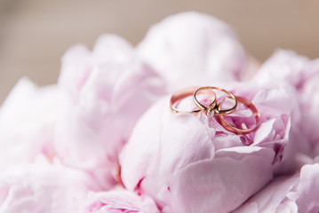 Wedding rings on a background of pink peonies