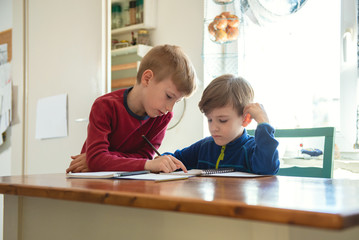 Brothers learning at home, Homeschooling