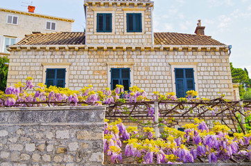 Ancient buildings with historic facades in decay and beautiful, magical and enchanted gardens in...