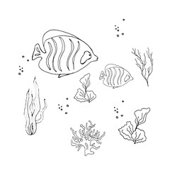 Obraz premium Set of different fish and creatures and algae, shark, dolphin, turtle.World Ocean Day.Fish and marine life.Coloring book for children. Vector illustration in doodle style. Isolate on a whit background