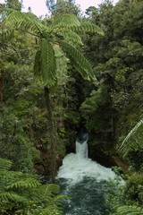 Tutea Falls near Rotorua,Bay of Plenty on North Island of New Zealand
