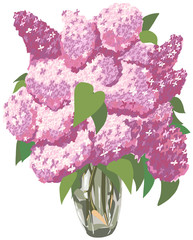 illustration lilac bouquet in a vase