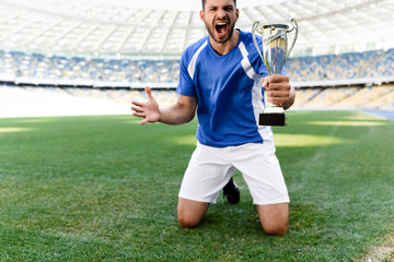 professional soccer player in blue and white uniform with sports cup standing on knees on football pitch and shouting at stadium © LIGHTFIELD STUDIOS