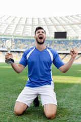 professional soccer player in blue and white uniform with sports cup standing on knees on football pitch and shouting at stadium © LIGHTFIELD STUDIOS