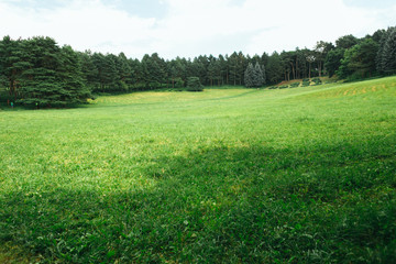 Kislovodsk national park - the biggest park in Europe, summer season, Mineral thermal springs, Caucasus, Russia