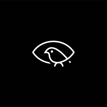 Eye line logo and bird design vector image , logo line eye dird 