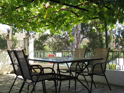 terraza y parras