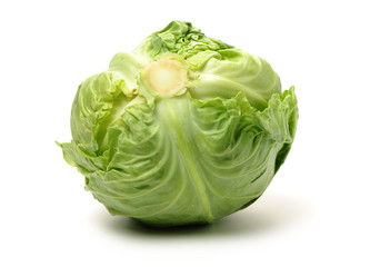 cabbage on a white background