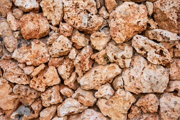 Porous structure of stone background. Seashell grunge stone background. Limestone texture close up. 
