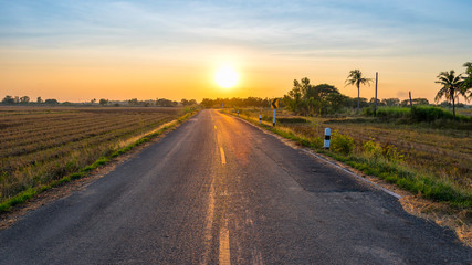 Road through the rice field at sunset