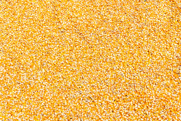 Corn plants,Corn mill, Corn and Grain Handling or Harvesting Terminal. Corn Can be Used for Food, Feed or Ethanol