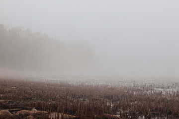 Obraz na płótnie Canvas Foggy bay with mountain view in Vietnam