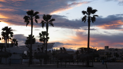 Obraz premium malvarrosa 15