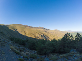 mountain landscape with trees in Sierra Nevada (Spain) 
