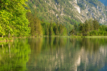 Ufer am Almsee in Oberösterreich