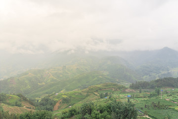 Fototapeta na wymiar Foggy valley mountain landscape with lush green field terrace rice paddy in Sapa, Northern Vietnam