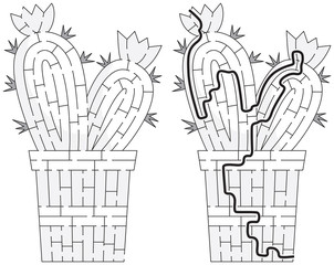 Cactus maze