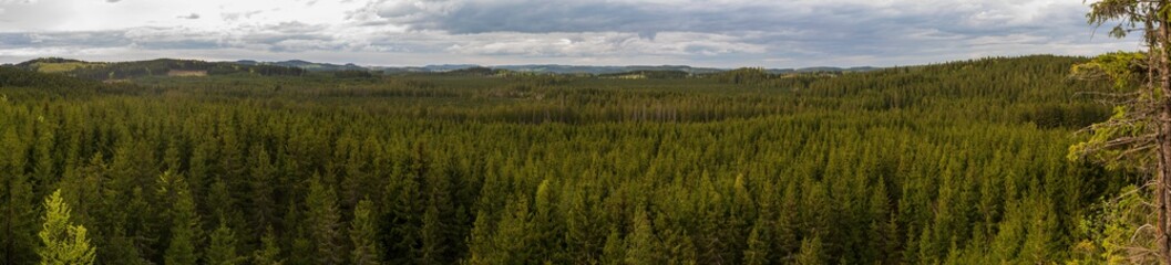 Tanner Moor Panorama im Mühlviertel Oberösterreich
