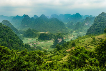Obraz premium typical Vietnamese landscape in spring with rice fields