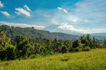 Green rice terraces against the backdrop of the Agung volcano on the island of Bali. Morning Balinese landscape. Morning rice field and volcano in a haze.