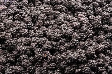 Frozen fresh mulberry. Food background. Top view.
