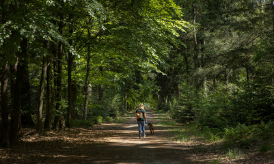 Walking the dog. Stroller in the woods. Dirtroad. Forest Sleenerzand. Sleen. Schoonoord Drenthe Netherlands