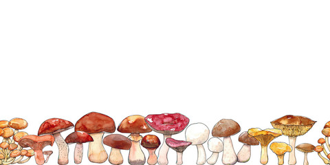 Watercolor hand drawn illustration seamless pattern border of Mushrooms with porcini, champignon, chanterelle, saffon milk cap, boletus badius, yellow boletus, orange cap boletus, russula, boletus