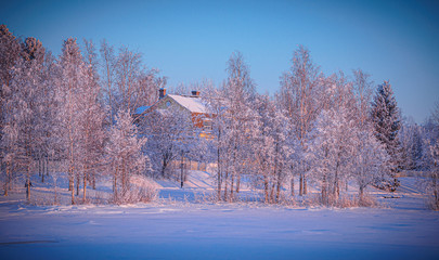 winter landscape with trees and snow and wood house