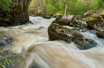 Water flowing fast in river in spring time